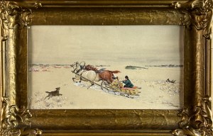 Kajetan KOSIŃSKI (1847 Luzhany in Bukovina - 1935 Lviv), Wolf attack