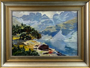 Michał STAŃKO (1901 Sosnowiec - 1969 Zakopane), Black Pond Gąsienicowy