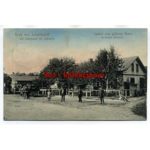 Narrow Sands - Jungensand pow.Swiecie - Inn