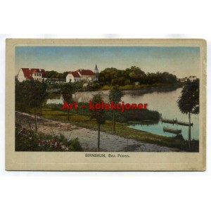 Miedzychód - Birnbaum - City parties