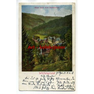 Międzygórze - Wolfelsgrund - Blick auf das Sanatorium