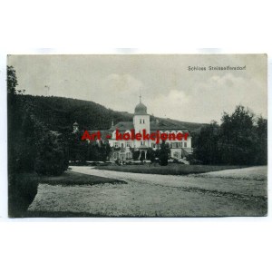 Rościszów - Steinseifersdorf gm.Pieszyce - Palace