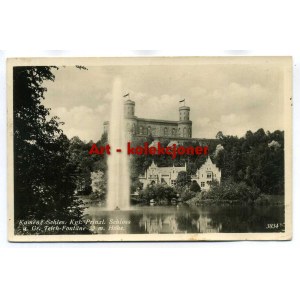 Kamieniec Ząbkowicki - Kamenz - Palace - Photographic