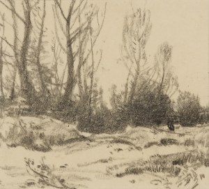 Roman Kochanowski (1857-1945), Pejzaż z drzewami