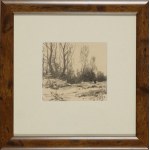 Roman Kochanowski (1857-1945), Landscape with Trees