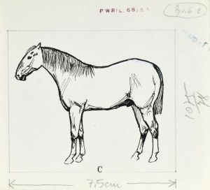 Ludwik MACIĄG (1920-2007), Horse depicted from the left side