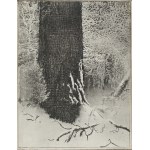 Leon WYCZÓŁKOWSKI (1852-1936), Oak in the Gloom, 1924