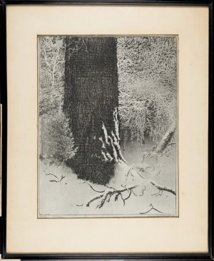 Leon WYCZÓŁKOWSKI (1852-1936), Oak in the Gloom, 1924