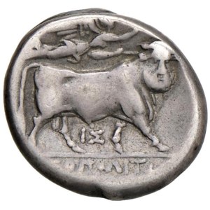 Greek coins - CAMPANIA Neapolis (340-241 a.C.) Didracma - Testa ...