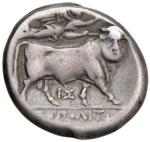 Greek coins - CAMPANIA Neapolis (340-241 BC) Didrachma - Head ...