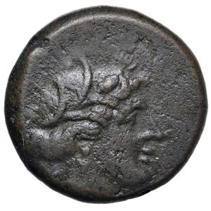Greek coins - LUCANIA Metaponto - AE (circa 300-250 a.C) Testa d...