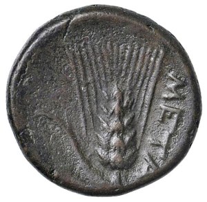 Greek coins - LUCANIA Metapontum - AE (ca. 300-250 BC) Head d...