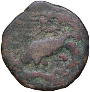 Greek coins - SICILY Agrigento - AE (g 10.70 - 21 mm)...