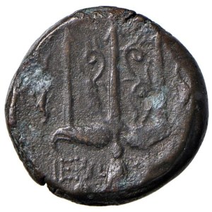Greek coins - SICILIA Siracusa - Gerone II (274-216 a.C.) AE - T...