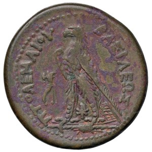 Greek coins - EGITTO Bronzo tolemaico - AE (g 34,34)...