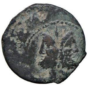 Roman coins Republic - Junia - D. Junius Silanus (91 a.C.) Asse - Testa d...
