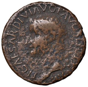 Roman coins Empire - Tiberius (14-37) Axis - Head to s. - R/ SC - RIC 44...