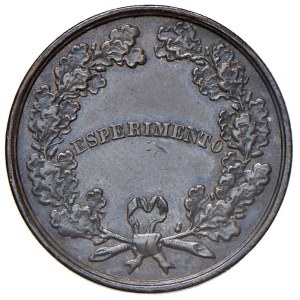 Savoy Coins - Studi per la monetazione del Regno (1860-1861) Mil...