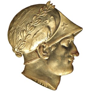 Napoleonic medals - Napoleone I (1804-1814) Piccolo repoussÃ©-intaglio...