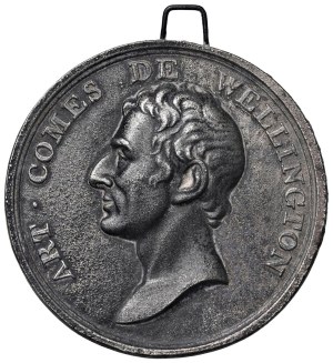 Napoleonic medals - Napoleonic medals - Wellington - Plaque co...