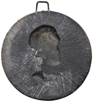 Napoleonic medals - Napoleonic medals - Wellington - Plaque co...