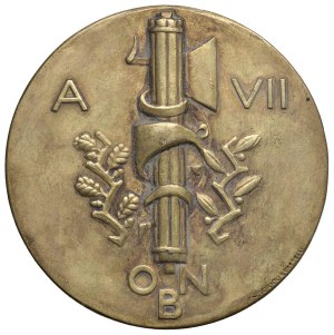 Fascist medals - FASCIST. Ventennio (1922-1943) Medal A.VII (19...