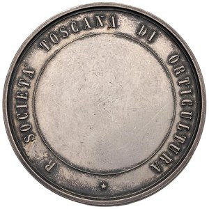 Cities medals - FLORENCE.Medal Award of the Tuscan Society of...