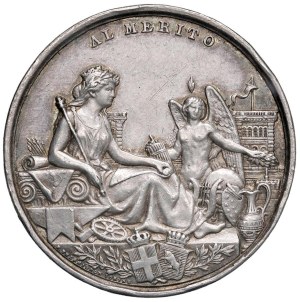 Cities medals - TORINO. 1884 Italian General Exhibition medal...