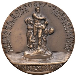 Cities medals - VERCELLI. 1983 Attilio Gartmann medal - Fountain...