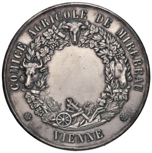 Foreign medals - AUSTRIA - VIENNA. undated medal (after 1880) ...