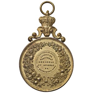 Foreign medals - BELGIO. Leopoldo II Medaglia 1892 Premio per espos...