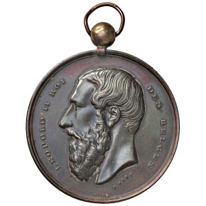 Foreign medals - BELGIO. Leopoldo II Medaglia senza data per Brugge...