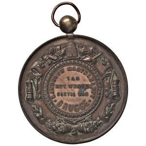 Foreign medals - BELGIO. Leopoldo II Medaglia senza data per Brugge...