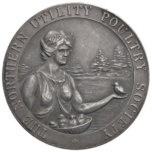 Foreign medals - INGHILTERRA. Medaglia 1931-1932 Northen Utility Po...