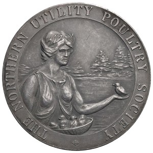 Foreign medals - ENGLAND.Medal 1931-1932 Northen Utility Po...