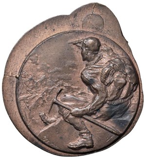 Various medals - Medal Artistic undated 20th century Mountaineer ...
