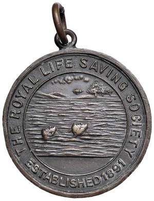 Various medals - Medal Award 1919 The Royal Life Saving Society...