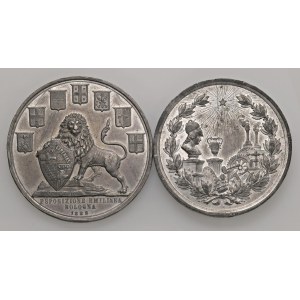 Various medals - Lotto di 2 Medaglie in Stagno - Bologna e Torino f...