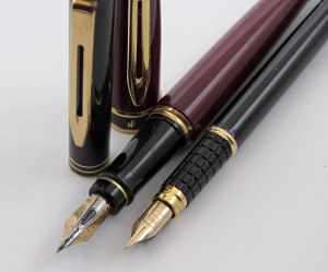 Pens - WATERMAN - Lot of 2 fountain pens - Bodies ...