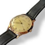 Switzerland, Doxa Watch