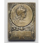 Medal, "First prize in rifle shooting" for Madame Wehrle