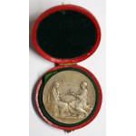 Medal with original case, France 1901, silver