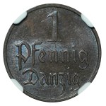 WMG, 1 fenig 1930, NGC MS64 BN