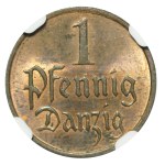 WMG, 1 fenig 1930, NGC MS63 RB
