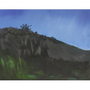 Piotr Siudeja, Landscape I, 2014