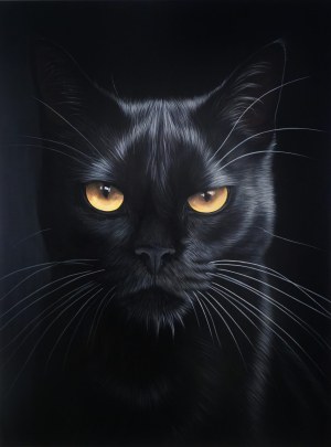 Paulina Wroblewska, So what from the series Offended Cats, 2025