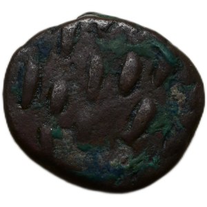 Království Elymais, Phraates, kolem roku 150, AE Drachma