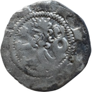 Wenceslas II. 1278-1305, parvus