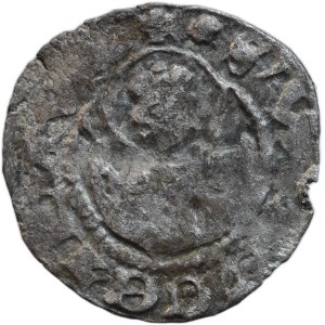 Jan Lucemburský 1310-1346, parvus, lev/sv.Václav