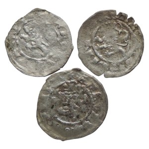 Charles IV. 1346-1378, parvus lev/St. Wenceslas, Castelin 20
